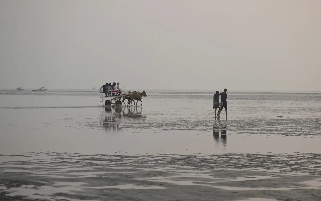 alibaug