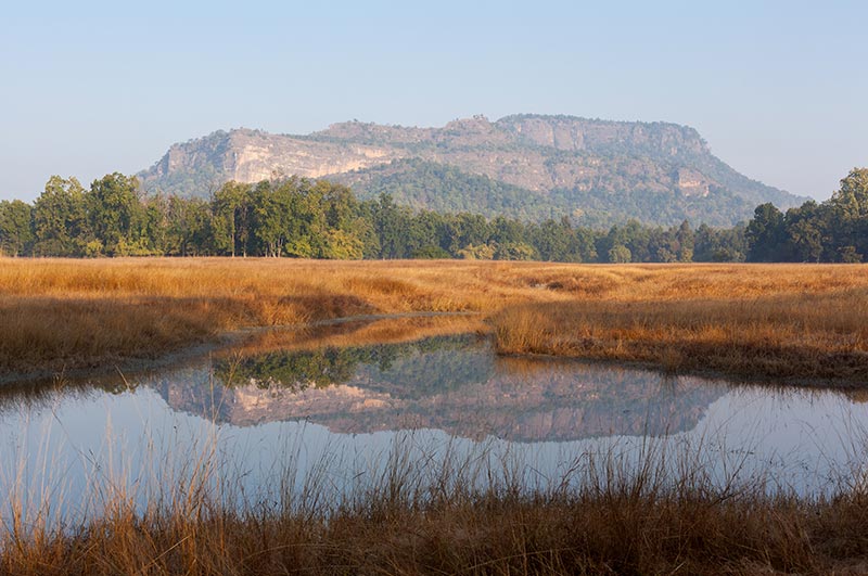 bandhvagarj national park