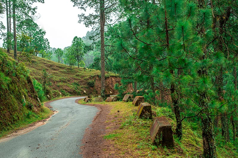 bhimtal