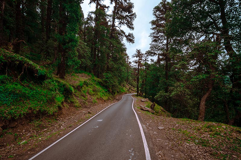 chopta