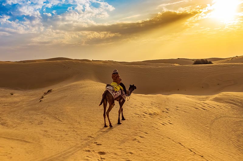 desert safari