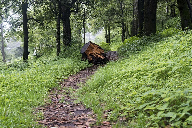 dhanaulti