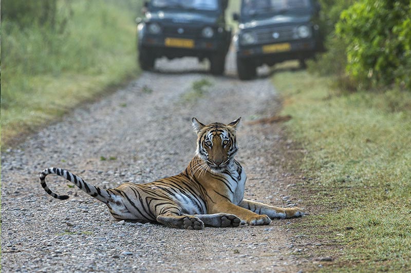 jim corbett 