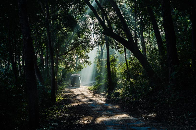 jim corbett