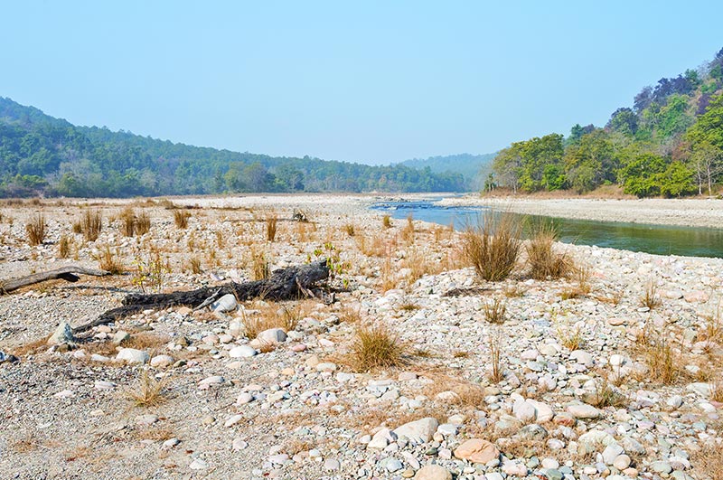 jim corbett