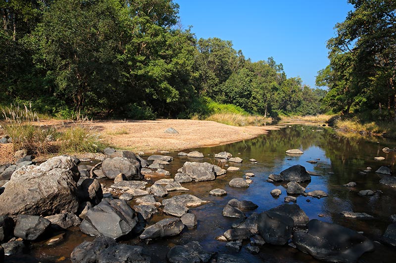 kanha national park