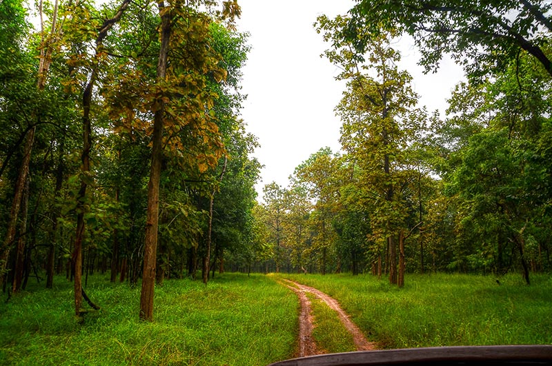 pench national park