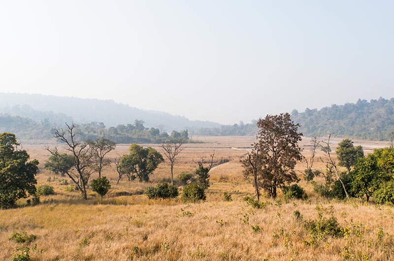 rajaji national park