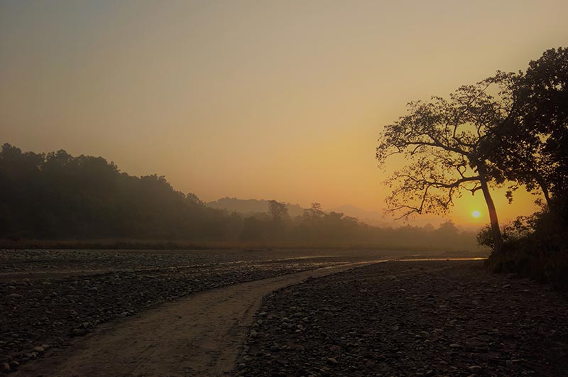 rajaji national park