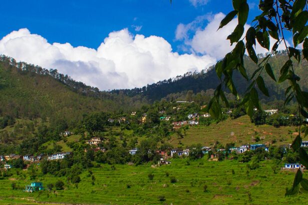 Ranikhet