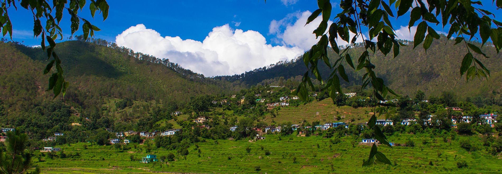 Ranikhet