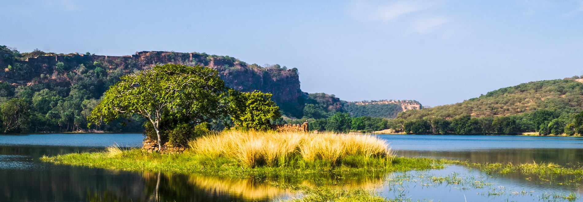 Ranthambhore National Park