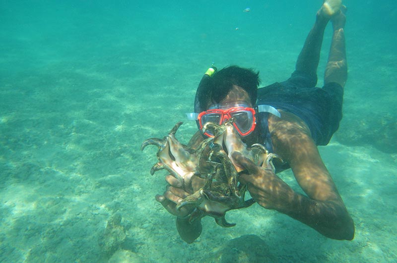 snorkeling