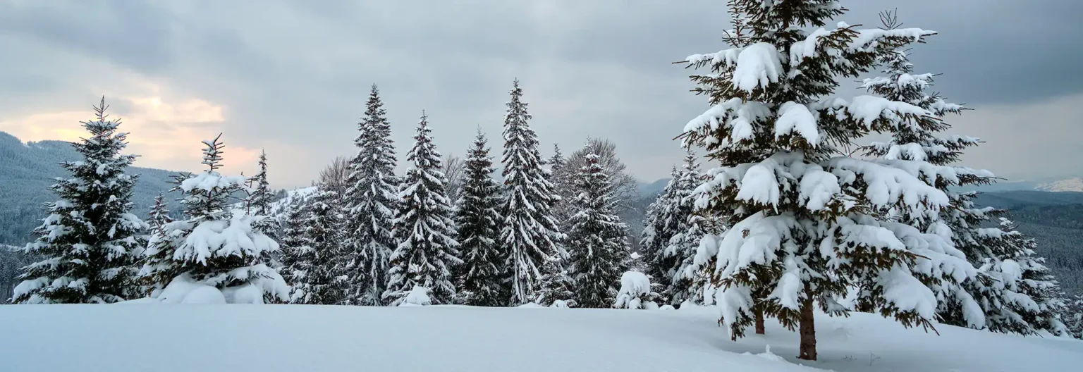 snowfall in india