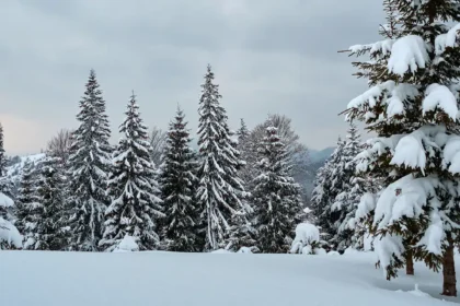 snowfall in india