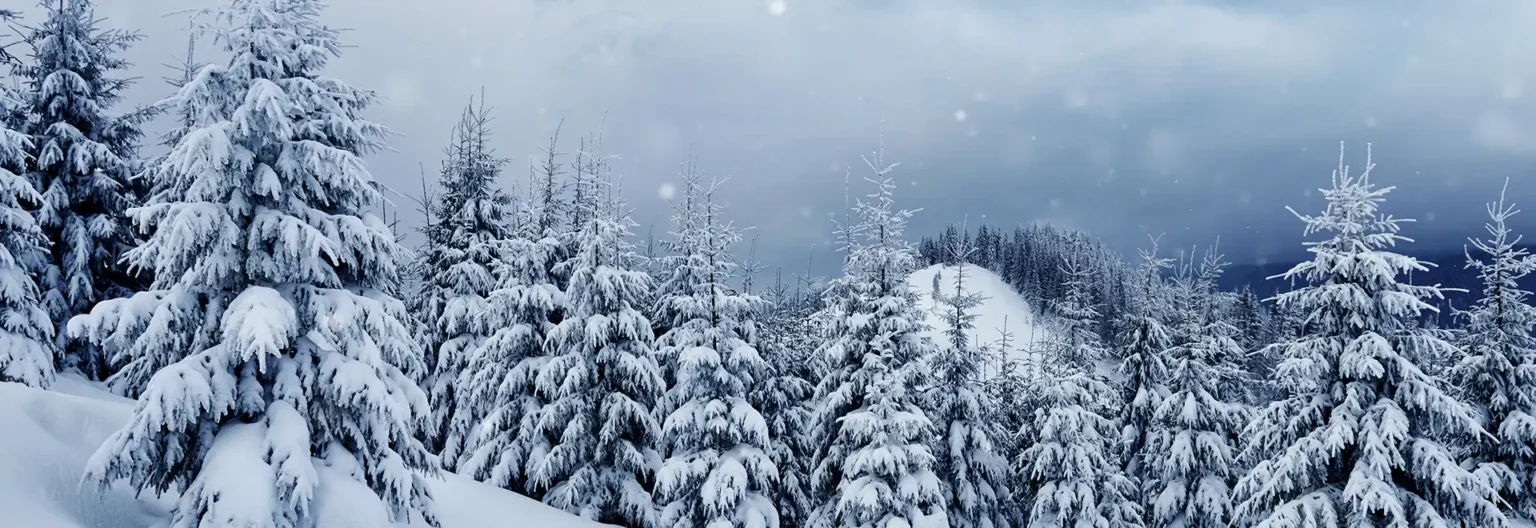 snowfall in uttarakhand