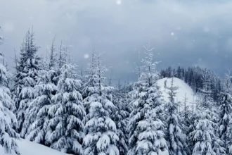 snowfall in uttarakhand