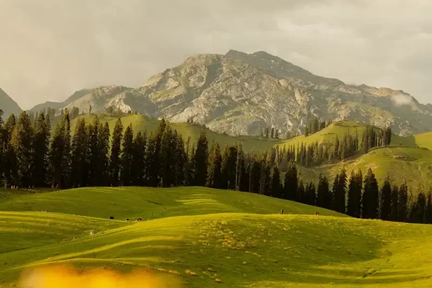 sonmarg kashmir