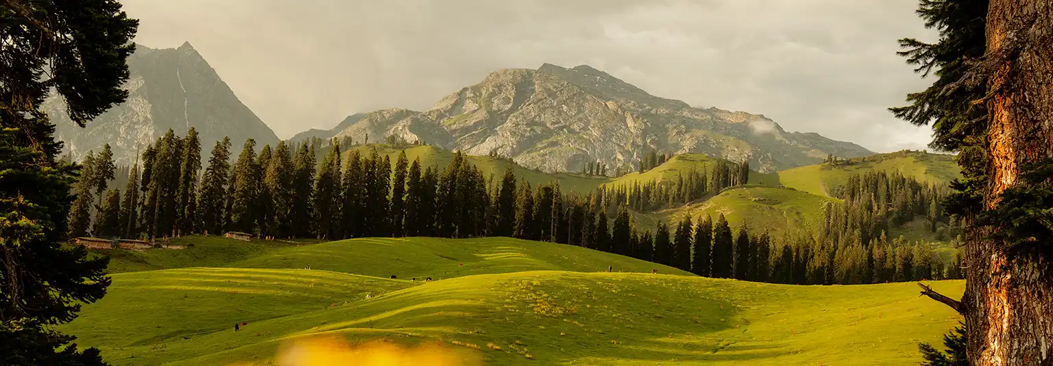 sonmarg kashmir