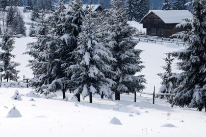 Top Snowfall Destinations Near Delhi