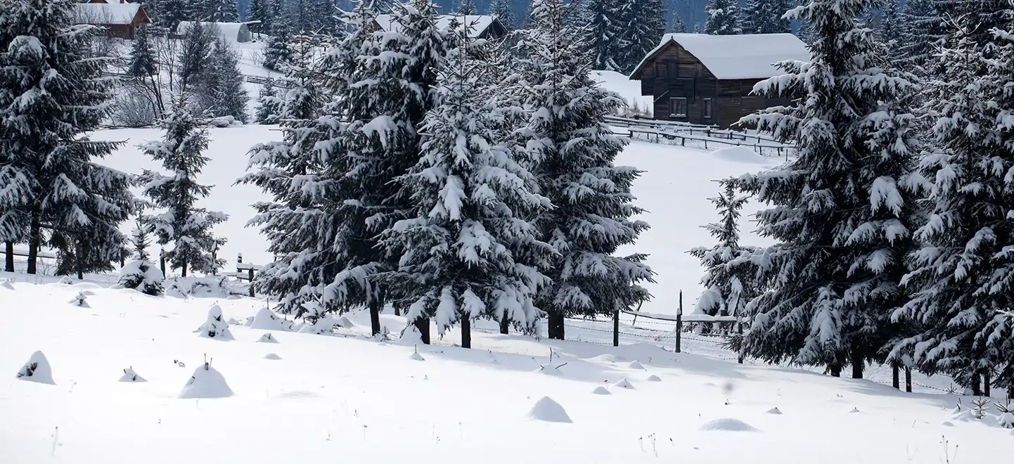 Top Snowfall Destinations Near Delhi