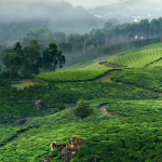 outdorrkeeda-munnar