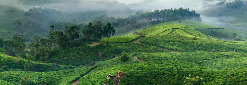 munnar