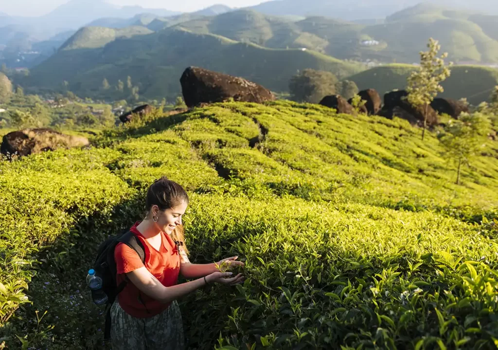 munnar