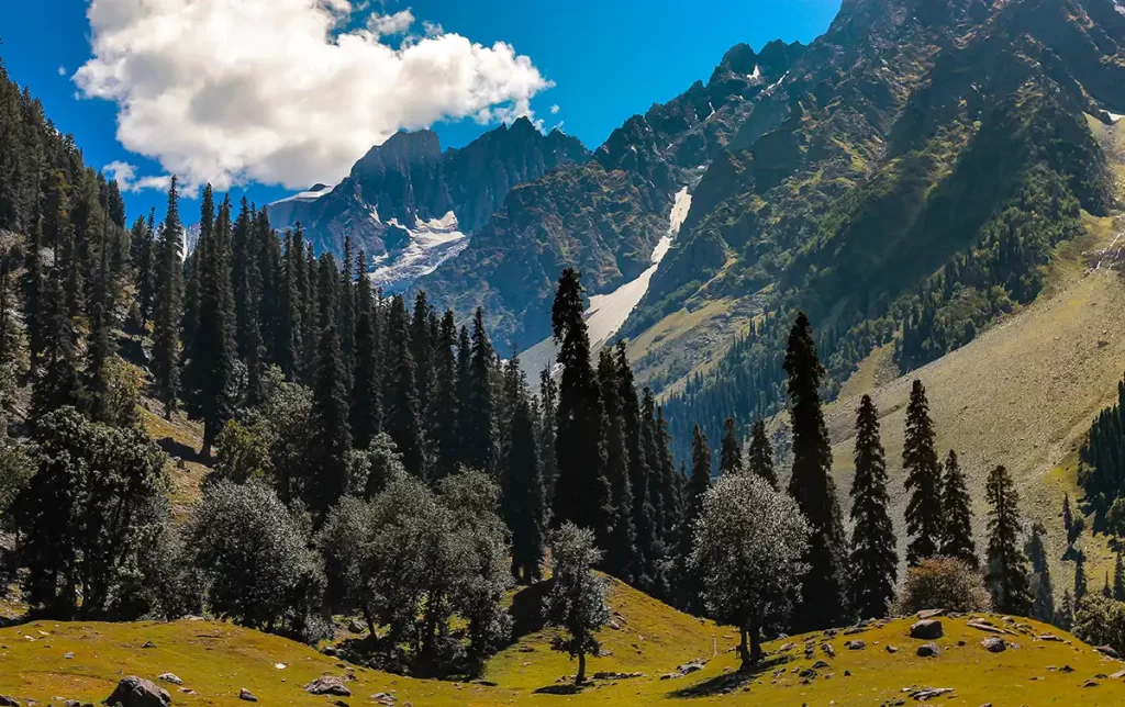 sonmarg kashmir