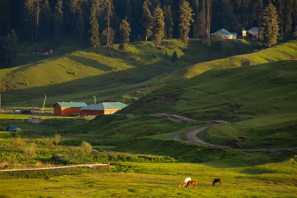 gulmarg kashmir