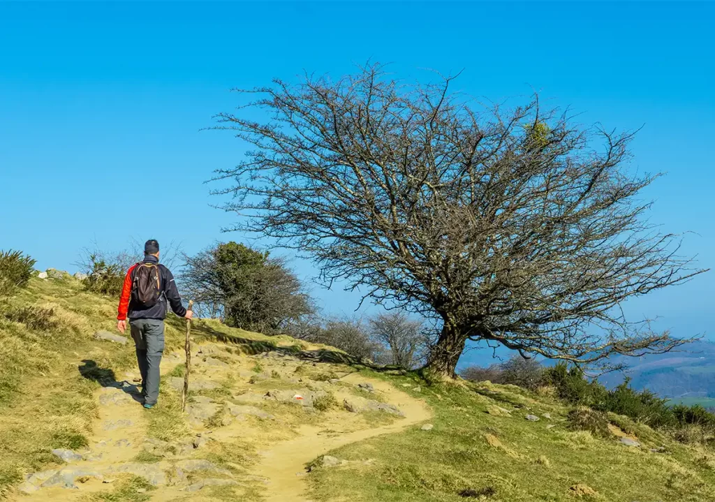 triund trek